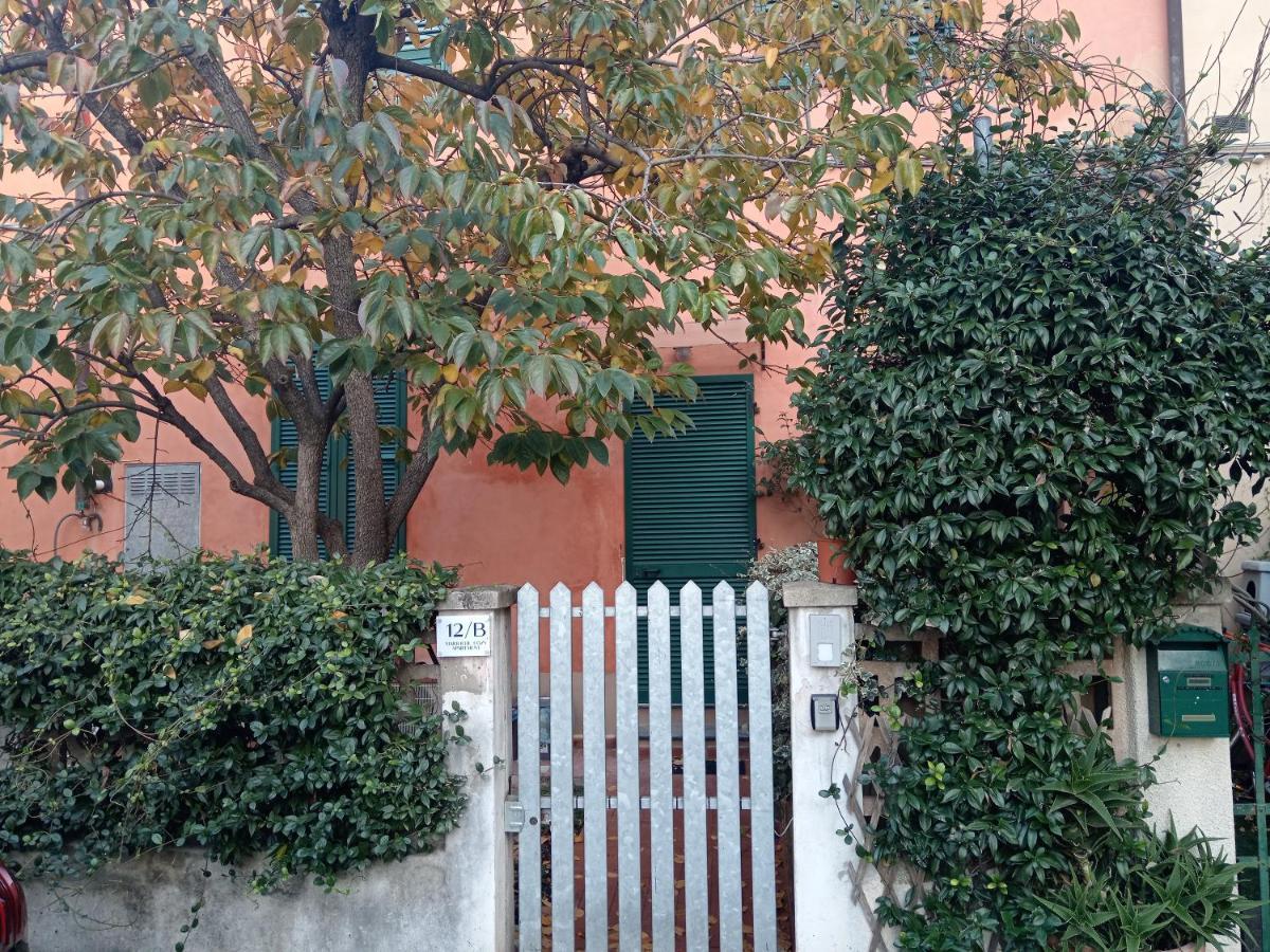 Maioliche Cozy Apartment Pisa Ngoại thất bức ảnh